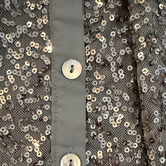 Express Shimmering Sequin Gray Camisole - Picture 4 of 4